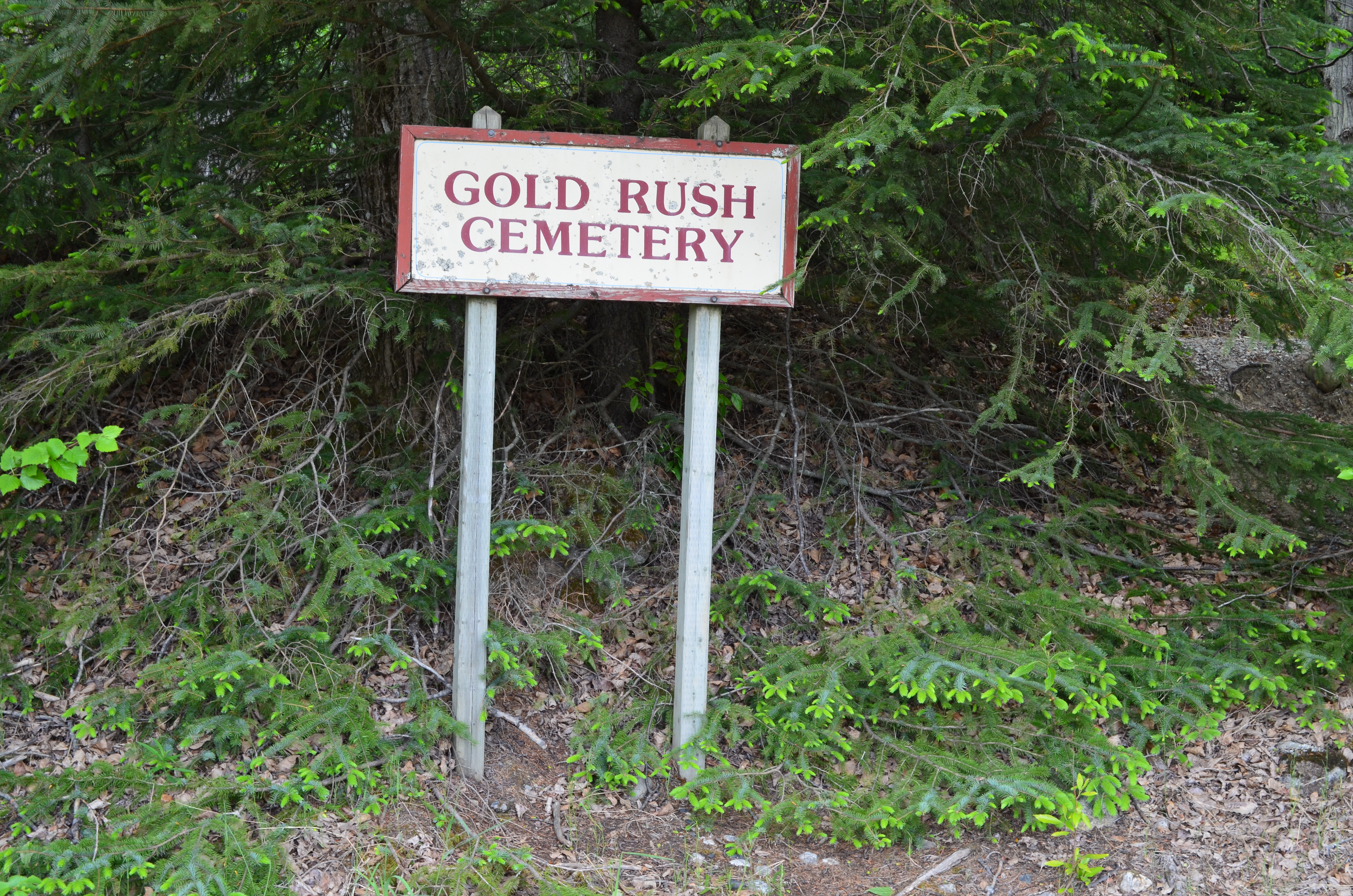 ./2017/08 - Alaska Cruise/09 - Skagway/ADSC_0996.JPG